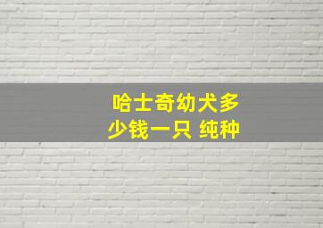 哈士奇幼犬多少钱一只 纯种